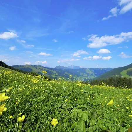 Appartement Cozy In Hinterglemm With Sauna Saalbach-Hinterglemm
